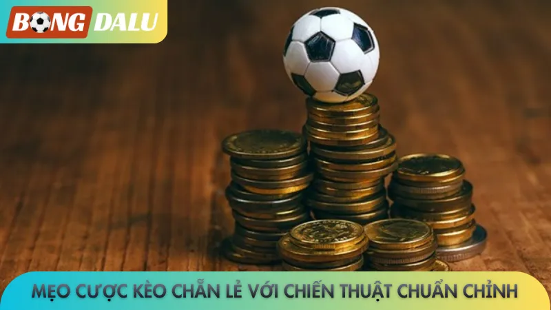 Mẹo cược kèo chẵn lẻ với chiến thuật chuẩn chỉnh