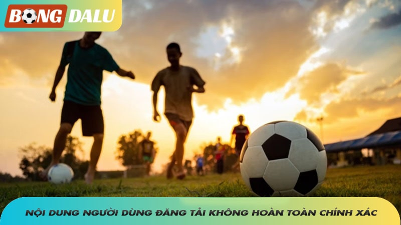 Nội dung người dùng đăng tải trên trang web không hoàn toàn chính xác