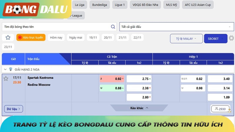 Trang tỷ lệ kèo Bongdalu cung cấp cho người chơi những thông tin hữu ích